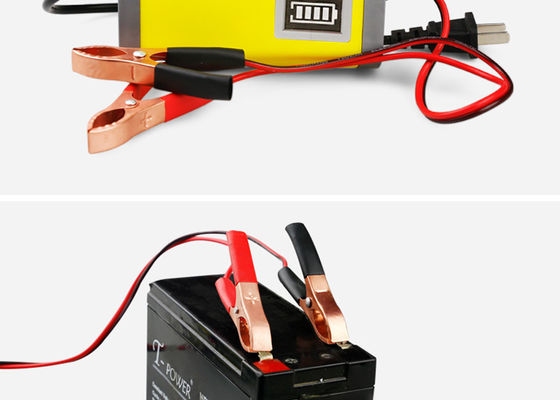 Cargador de batería ELEGANTE potente de la eficacia alta 12v/24v 5A 10A 20Amp para la batería de plomo