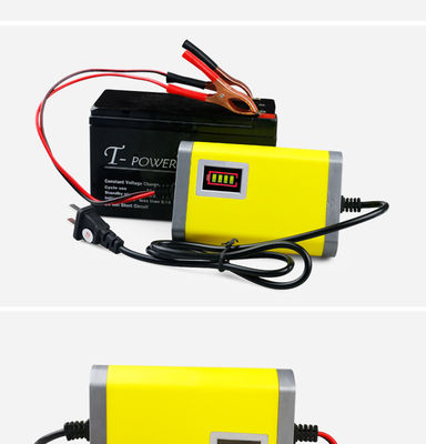 Cargador de batería ELEGANTE potente de la eficacia alta 12v/24v 5A 10A 20Amp para la batería de plomo