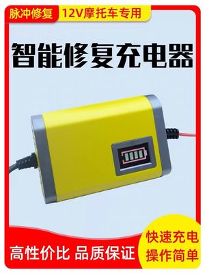 El CE del cargador de batería de Travelscoot del control del microprocesador entró la CA 180-220V 50Hz