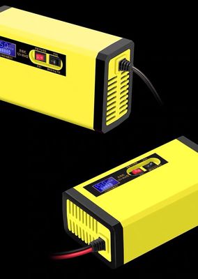 cargador de batería inteligente de coche de 12v 24v Lifepo4 Smart dos tipos
