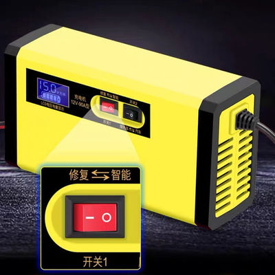 cargador de batería inteligente de coche de 12v 24v Lifepo4 Smart dos tipos